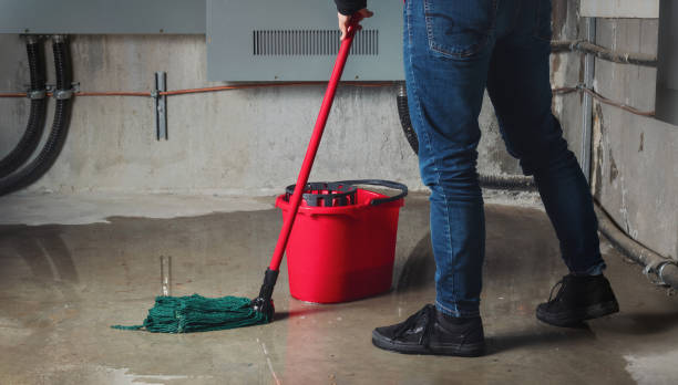 Best Basement water damage restoration  in Arbuckle, CA