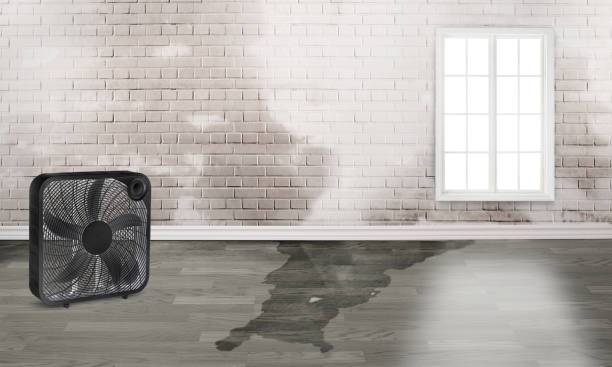 Best Residential water damage restoration  in Arbuckle, CA