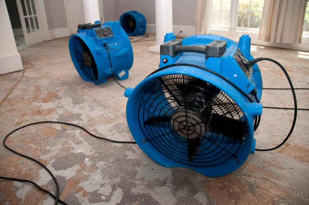 Best Ceiling water damage repair  in Arbuckle, CA