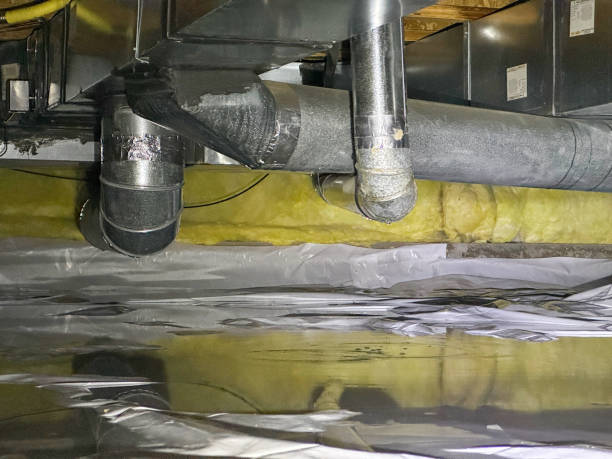 Best Mold removal after water damage  in Arbuckle, CA