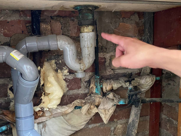 Best 24-hour water damage restoration  in Arbuckle, CA