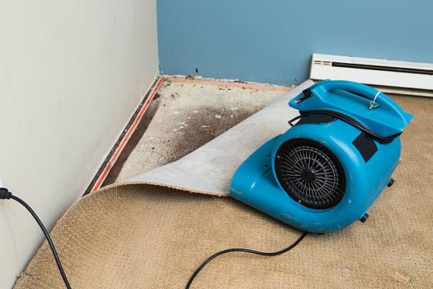 Best Local water damage restoration  in Arbuckle, CA